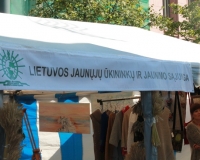 Derlius 2014, Vilnius
