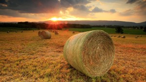 nature-landscapes_hdwallpaper_sunset-on-hay-fields-in-the-shenoah-valley_10063