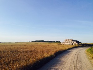 image (13)